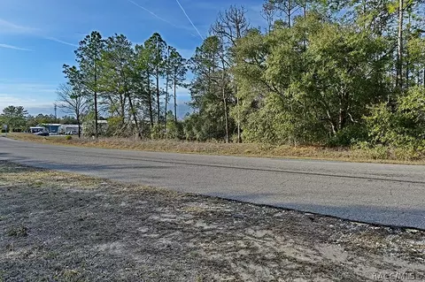 1205 E Overdrive Cir, Hernando, FL 34442 photo 10