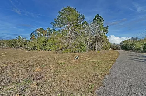 1205 E Overdrive Cir, Hernando, FL 34442 photo 7