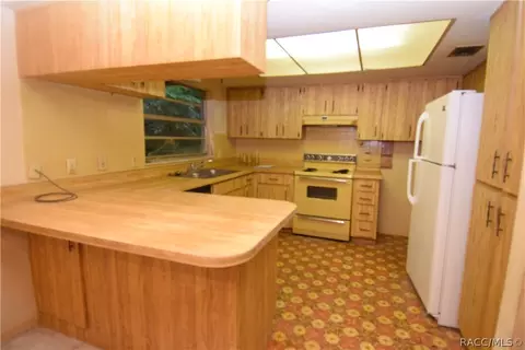 959 W Cave Ct, Hernando, FL 34442 photo 3