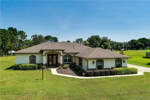 783 E Falconry Ct, Hernando, FL 34442 photo 1