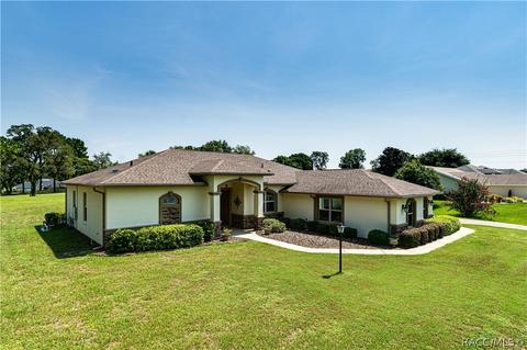783 E Falconry Ct, Hernando, FL 34442 photo 33