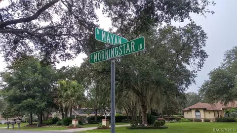 862 E Morningstar Ln, Hernando, FL 34442 photo 50