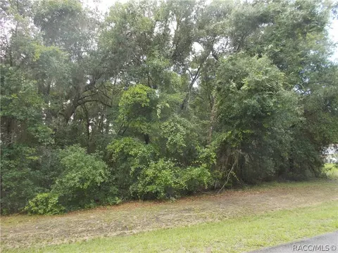 3378 N Chandler Dr, Hernando, FL 34442 photo 3