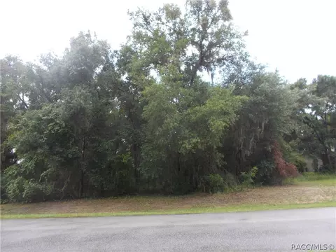 3378 N Chandler Dr, Hernando, FL 34442 photo 2