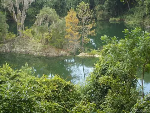 3378 N Chandler Dr, Hernando, FL 34442 photo 8