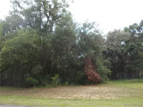 3378 N Chandler Dr, Hernando, FL 34442 photo 1