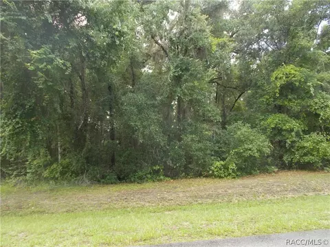 3392 N Chandler Dr, Hernando, FL 34442 photo 2