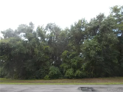 3392 N Chandler Dr, Hernando, FL 34442 photo 1