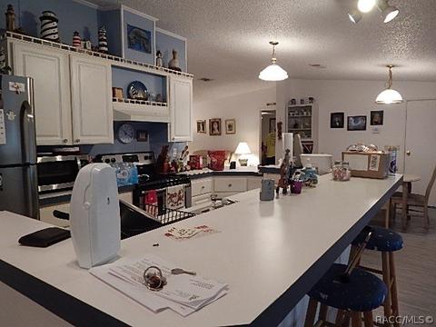 347 E Pilar St, Hernando, FL 34442 photo 8