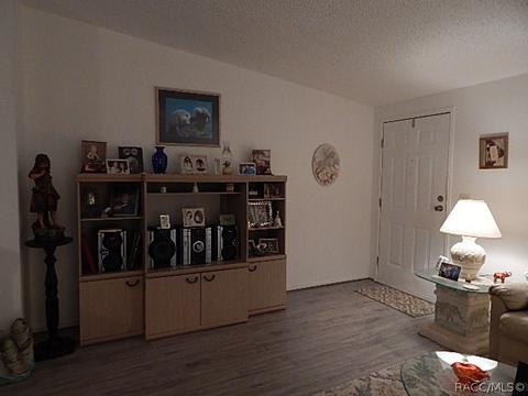 347 E Pilar St, Hernando, FL 34442 photo 4