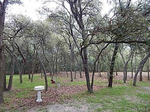 347 E Pilar St, Hernando, FL 34442 photo 28