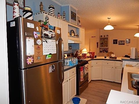 347 E Pilar St, Hernando, FL 34442 photo 6