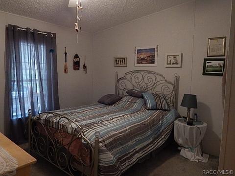347 E Pilar St, Hernando, FL 34442 photo 17