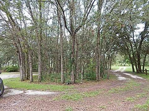 347 E Pilar St, Hernando, FL 34442 photo 33