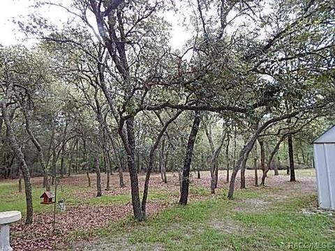 347 E Pilar St, Hernando, FL 34442 photo 29