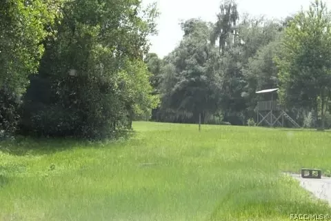 2831 N Tomberlin Pt, Hernando, FL 34442 photo 2