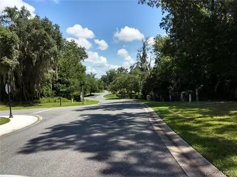440 W Cobblestone Loop, Hernando, FL 34442 photo 31