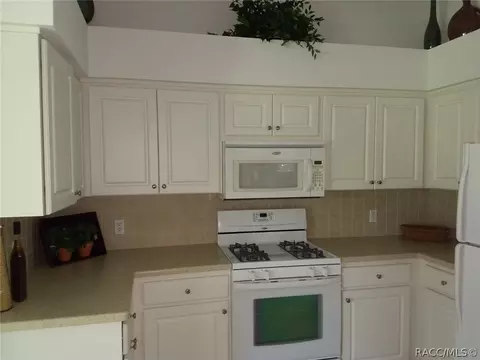 440 W Cobblestone Loop, Hernando, FL 34442 photo 13