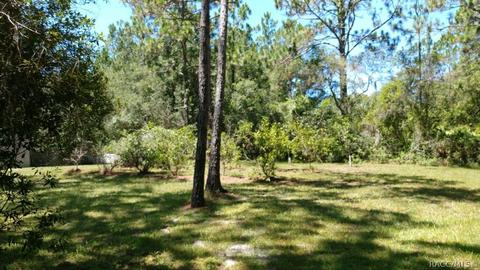 186 Sandi St, Inglis, FL 34449 photo 32