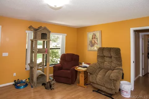 449 E Stratford Rd, Lecanto, FL 34461 photo 24