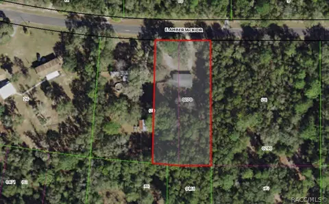 1432 E Amberjack Dr, Hernando, FL 34442 photo 7