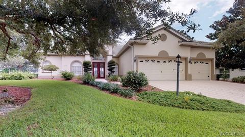 1677 N Dimaggio Path, Hernando, FL 34442 photo 38