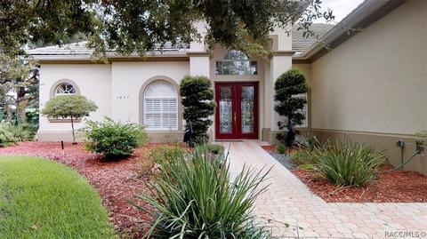 1677 N Dimaggio Path, Hernando, FL 34442 photo 44
