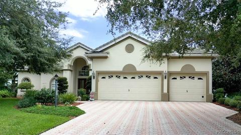 1677 N Dimaggio Path, Hernando, FL 34442 photo 1