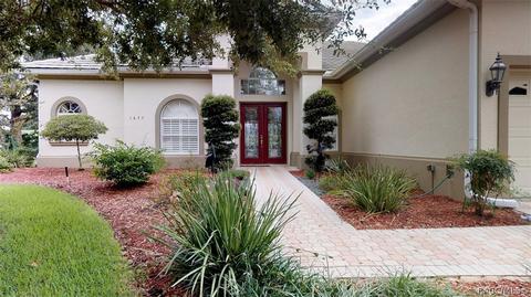 1677 N Dimaggio Path, Hernando, FL 34442 photo 39
