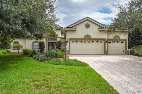 1677 N Dimaggio Path, Hernando, FL 34442 photo 9