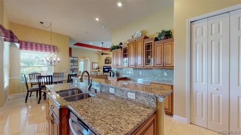 1677 N Dimaggio Path, Hernando, FL 34442 photo 19
