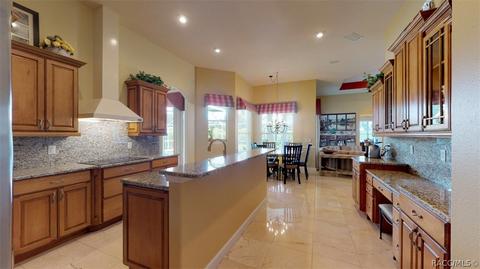 1677 N Dimaggio Path, Hernando, FL 34442 photo 18