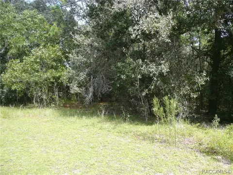 739 W Liberty St, Hernando, FL 34442 photo 8