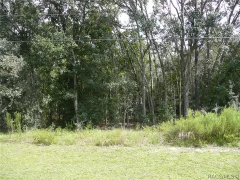 739 W Liberty St, Hernando, FL 34442 photo 1
