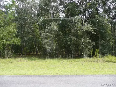 739 W Liberty St, Hernando, FL 34442 photo 2