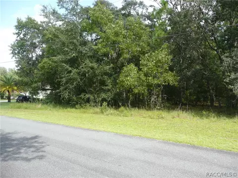 739 W Liberty St, Hernando, FL 34442 photo 4