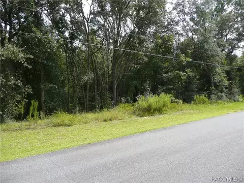 739 W Liberty St, Hernando, FL 34442 photo 3
