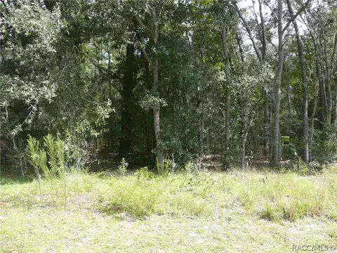 739 W Liberty St, Hernando, FL 34442 photo 7