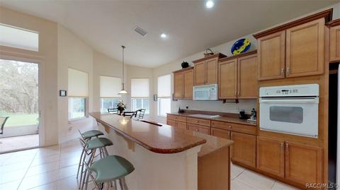 1141 W Diamond Shore Loop, Hernando, FL 34442 photo 13