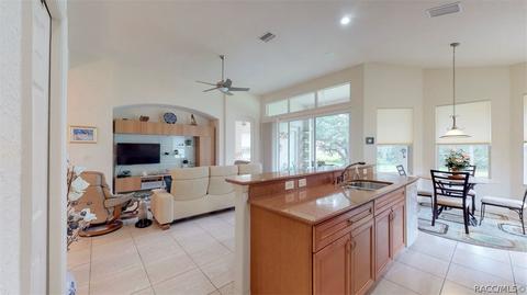 1141 W Diamond Shore Loop, Hernando, FL 34442 photo 18