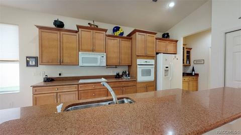 1141 W Diamond Shore Loop, Hernando, FL 34442 photo 14