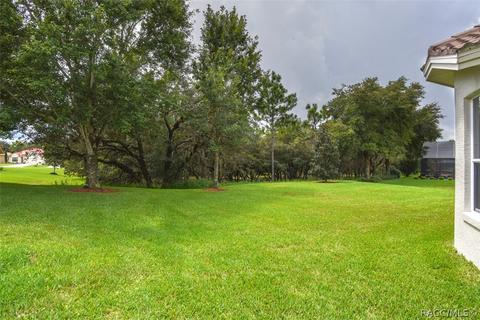 1141 W Diamond Shore Loop, Hernando, FL 34442 photo 34