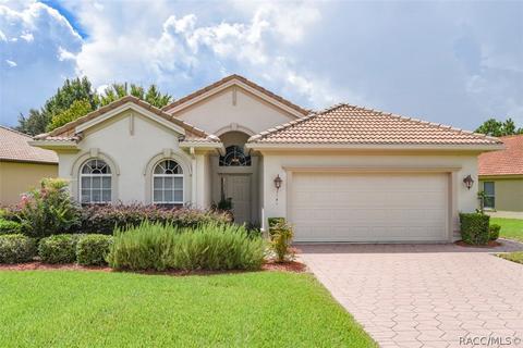 1141 W Diamond Shore Loop, Hernando, FL 34442 photo 43