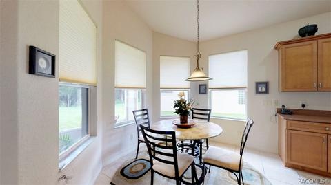 1141 W Diamond Shore Loop, Hernando, FL 34442 photo 19