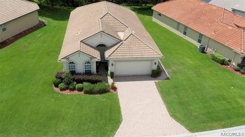 1141 W Diamond Shore Loop, Hernando, FL 34442 photo 5
