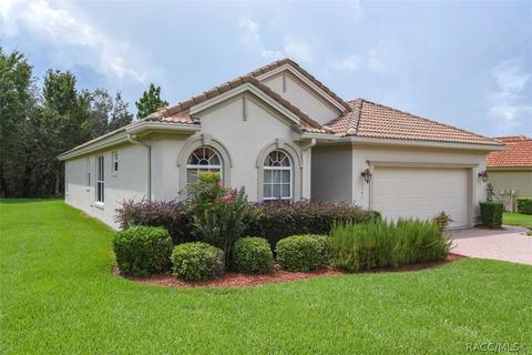 1141 W Diamond Shore Loop, Hernando, FL 34442 photo 41