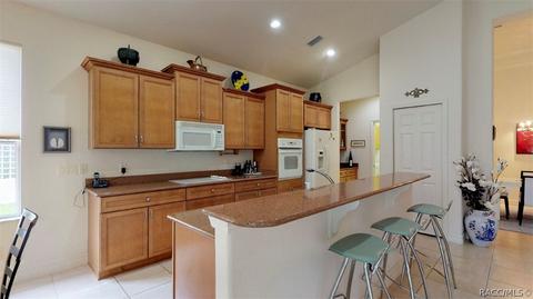 1141 W Diamond Shore Loop, Hernando, FL 34442 photo 4