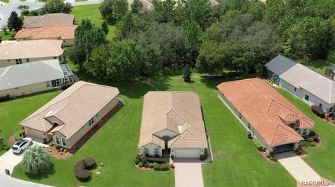 1141 W Diamond Shore Loop, Hernando, FL 34442 photo 6