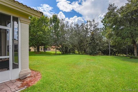 1141 W Diamond Shore Loop, Hernando, FL 34442 photo 39