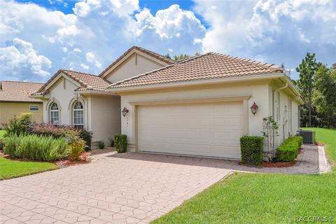 1141 W Diamond Shore Loop, Hernando, FL 34442 photo 42